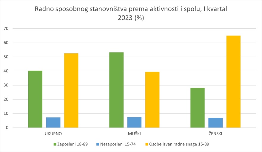 Anketa o radnoj snazi